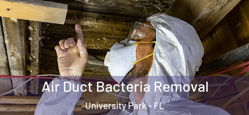 Air Duct Bacteria Removal University Park - FL