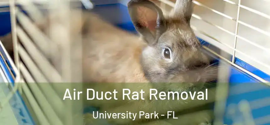 Air Duct Rat Removal University Park - FL