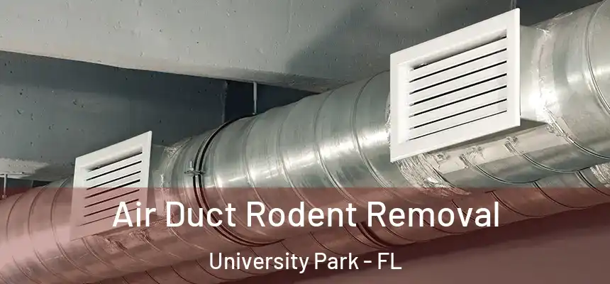Air Duct Rodent Removal University Park - FL