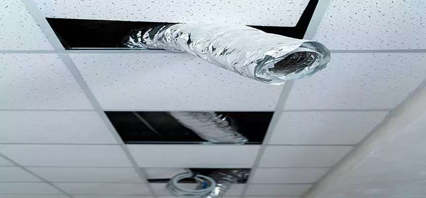 Our Air Duct Pet Hair Removal Services in University Park, FL