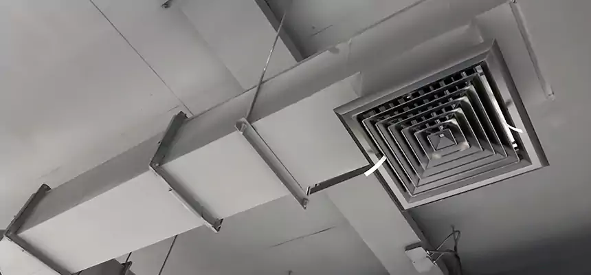 Our Rodent Droppings In Vents Services in University Park, FL