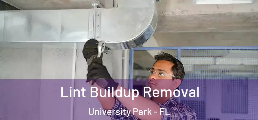 Lint Buildup Removal University Park - FL
