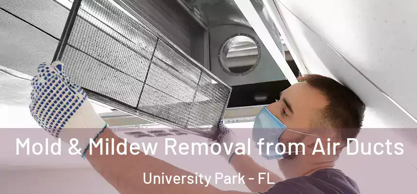  Mold & Mildew Removal from Air Ducts University Park - FL