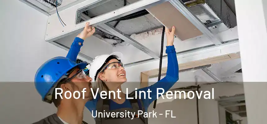 Roof Vent Lint Removal University Park - FL