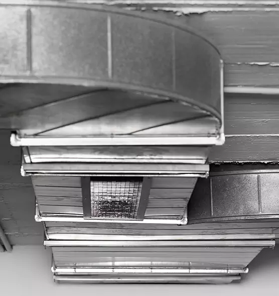 Professional Air Duct Pest Removal in Bayshore Gardens, FL
