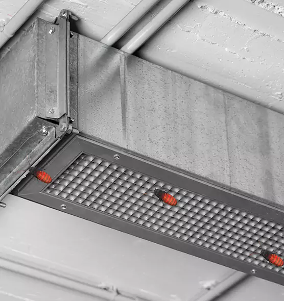 Affordable Insect Removal from Air Ducts in Bayshore Gardens, FL