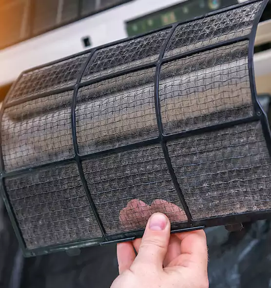 About Pet Dander Duct Cleaning in Bayshore Gardens, FL