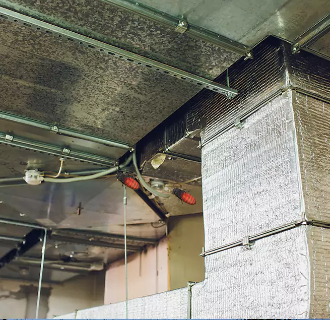 Why Homeowners & Businesses Trust Us in University Park, FL?