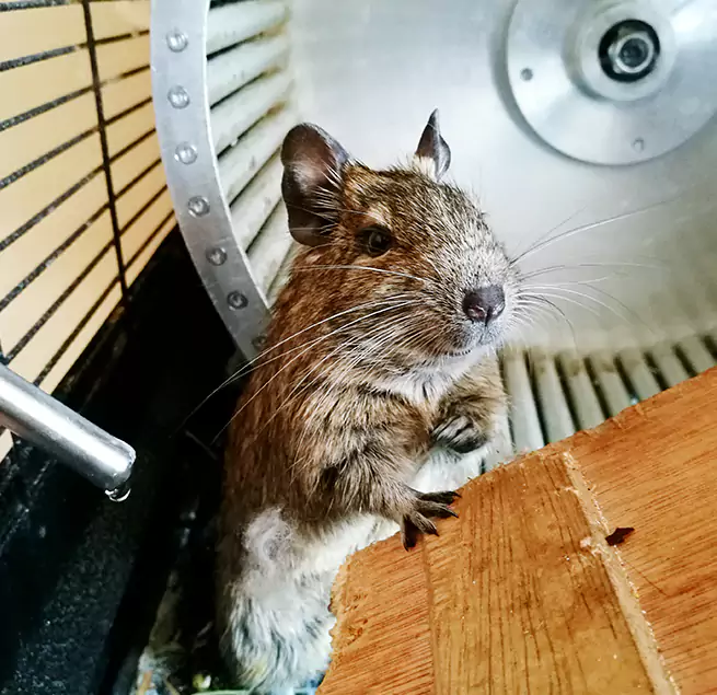 Why Homeowners & Businesses Trust Us University Park, FL